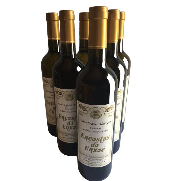 Weißwein Encostas do Enxoe Kiste 6x0,75L